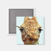 lustiges Giraffbaby Magnet (Vorderseite/Rückseite)