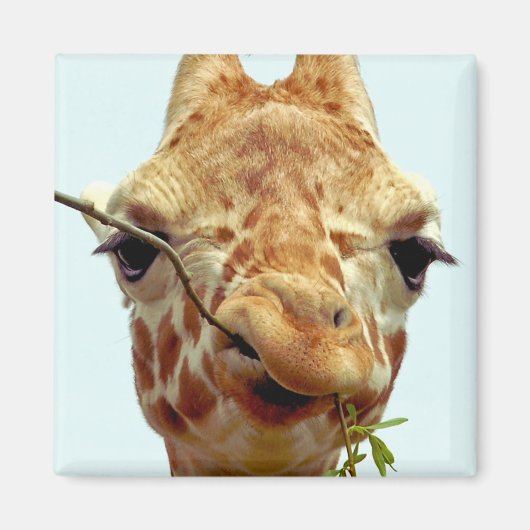 lustiges Giraffbaby Magnet (Vorne)