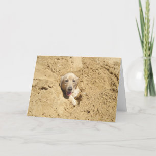 Lustiges golden retriever karte