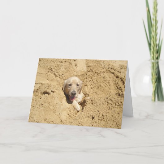 Lustiges golden retriever karte (Vorderseite)