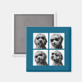 Lustiges Goldendoodle-Meme Hübsche Doodle-Fotoboot Magnet (Vorderseite/Rückseite)