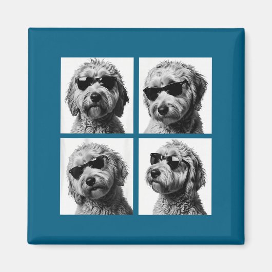 Lustiges Goldendoodle-Meme Hübsche Doodle-Fotoboot Magnet (Vorne)