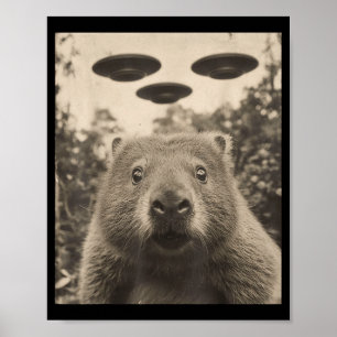 Lustiges Groundhog-Selfie mit UFOs seltsames Murme Poster