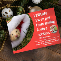 Lustiges Haustier Hamster Foto Weihnachtskarte