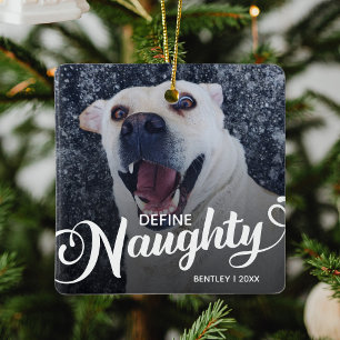 Lustiges Haustier-Hund-Weihnachtsfoto Keramikornament