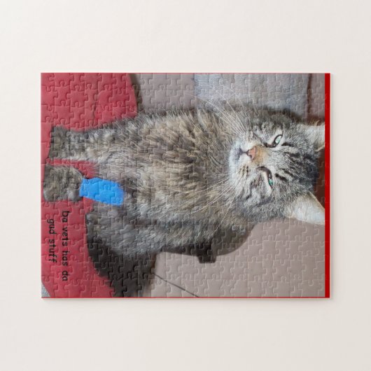 Lustiges heilkräftiges Katze meme oder Ihr Bild Puzzle (Horizontal)