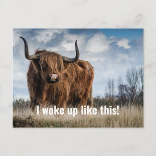 Lustiges Highland-Kuh-Foto mit 'Ich bin so aufgewa Postkarte