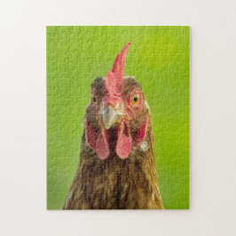 Lustiges Huhn - Foto-Puzzlespiel Puzzle
