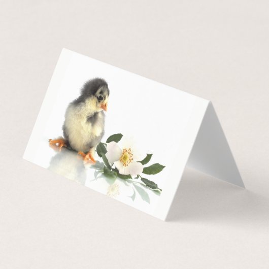 lustiges Huhn ・ geklappte Visitenkarten (Vorderseite)