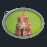 Lustiges Huhn-Vieh Ovale Gürtelschnalle<br><div class="desc">Lustiges Porträt-Foto eines Huhns gegen einen grünen Hintergrund.</div>