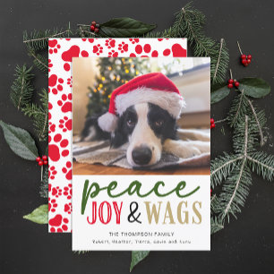 Lustiges Hunde Liebhaber Weihnachtsfoto Hübsch Per Feiertagskarte