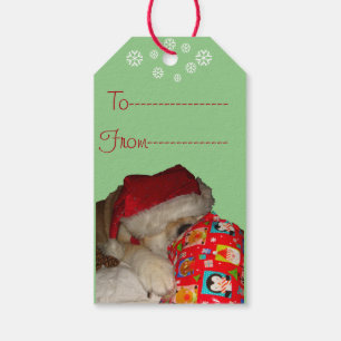 lustiges Hundebild niedlich akita bei Weihnachten Geschenkanhänger