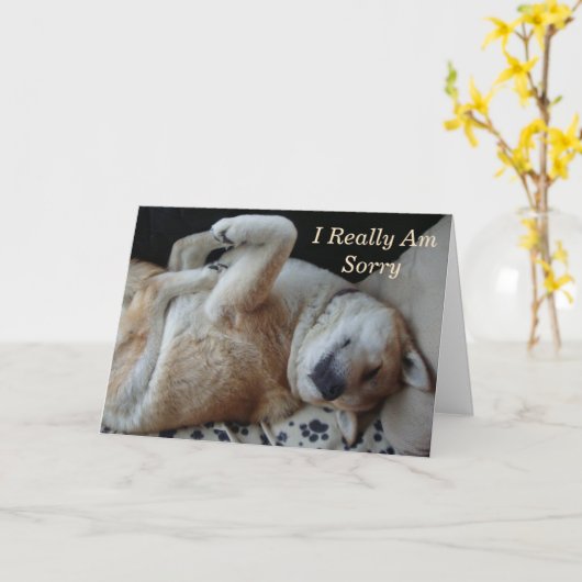 lustiges Hundebild niedlich akita mit Entschuldigu Karte (Gelbe Blume)