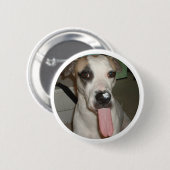 LUSTIGES HUNDEButton Button (Vorne & Hinten)