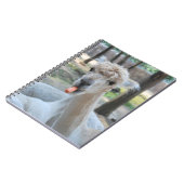 Lustiges Kamel mit einer Karotte Notizblock (Linke Seite)