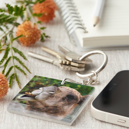 Lustiges Kamel-Tier-Tier-Foto Schlüsselanhänger (Vorderseite rechts)