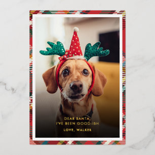 Lustiges Karo-Hund Haustier Foto Weihnachten Folien Feiertagskarte