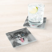 Lustiges Kätzchen Glasuntersetzer (Schrägansicht)
