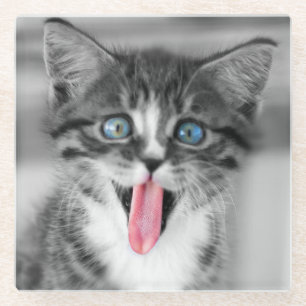 Lustiges Kätzchen Glasuntersetzer