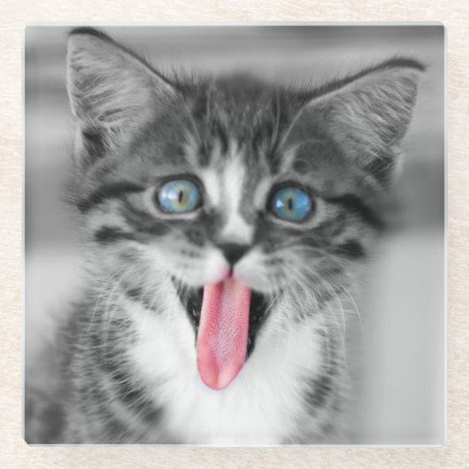 Lustiges Kätzchen Glasuntersetzer (Vorderseite)