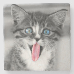 Lustiges Kätzchen Steinuntersetzer