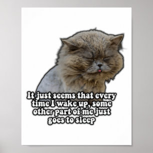Lustiges Katzen-Meme für Katzenliebhaber und Katze Poster