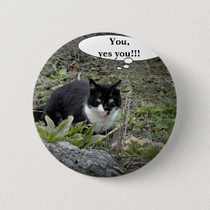 Lustiges Katzen-Rundabzeichen mit individuellem Te Button