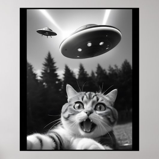 Lustiges Katzen-Selfie mit UFO-Alien Poster (Vorne)