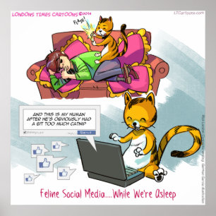 Lustiges Katzen-Social-Media-Poster Poster