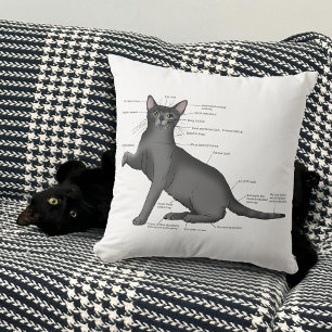 Lustiges Katzenanatomie-Diagramm Humor Nerdy Kissen