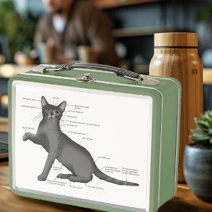Lustiges Katzenanatomie-Diagramm Humor Nerdy Metall Brotdose
