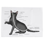 Lustiges Katzenanatomiediagramm Humor Nerdy Große Geschenktüte (Rückseite)