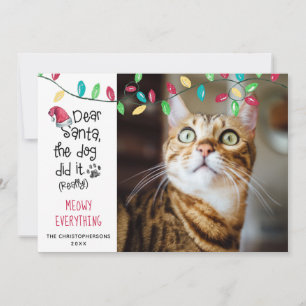 Lustiges Katzenfoto mit hellen Weihnachtsbeleuchtu Feiertagskarte