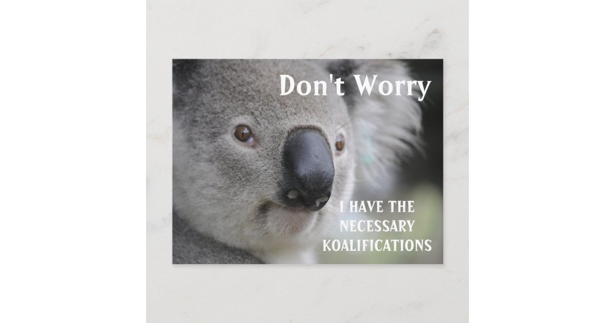 Lustiges Koala Koalifications Meme Postkarte Zazzle De