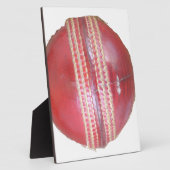 Lustiges Kricketball-Design Fotoplatte (Seite)
