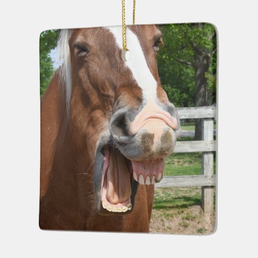 Lustiges lachendes Pferd Keramikornament (Links)