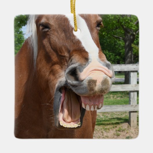 Lustiges lachendes Pferd Keramikornament (Vorderseite)