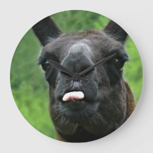 Lustiges Lama mit bedeutender Haltung u. der rosa Große Wanduhr