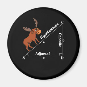 Lustiges Mathe Hypotemoose Magnet