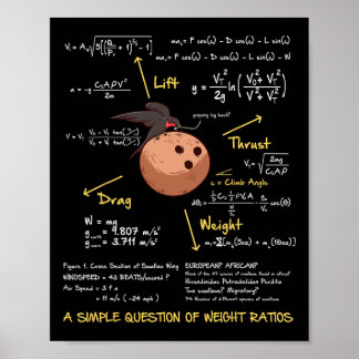 Lustiges Mathe-Shirt Frage zum Gewichtsverhältnis  Poster