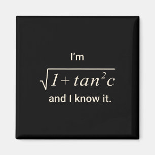 Lustiges Mathe-Witz-T-Shirt – Ich bin Sek C Trigon Magnet