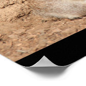 lustiges meerkat poster, Party Animal! Poster (Ecke)