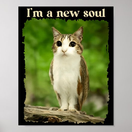 Lustiges Meowl-Meme, Katzen-Eulen-Meme Brainrot Ge Poster (Vorne)