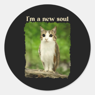 Lustiges Meowl-Meme, Katzen-Eulen-Meme Hirnverrott Runder Aufkleber
