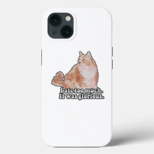 Lustiges mürrisches Katzen-Meme für Katzen- und Kä Case-Mate iPhone Hülle