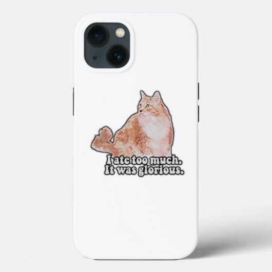 Lustiges mürrisches Katzen-Meme für Katzen- und Kä Case-Mate iPhone Hülle (Rückseite)
