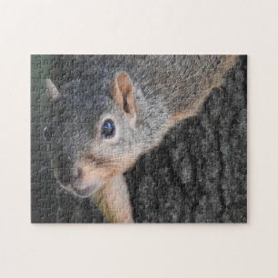 Lustiges Nahaufnahmefoto vom Gesicht eines Eichhör Puzzle