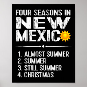 Lustiges New Mexico Heißes Wetter Tee_ Vier Jahres Poster