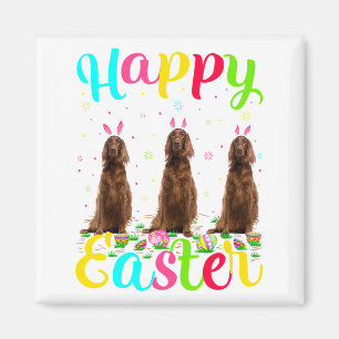 Lustiges Osterei Kaninchen Irischer Setter Hund Gl Magnet