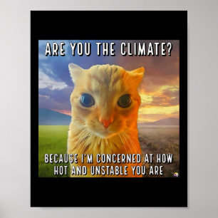 Lustiges Paar Valentinstag Orange Katze Meme Bist Poster
